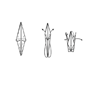 Step 10 image