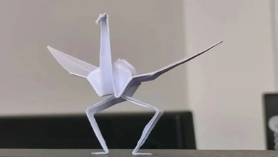Introduction to origami crane