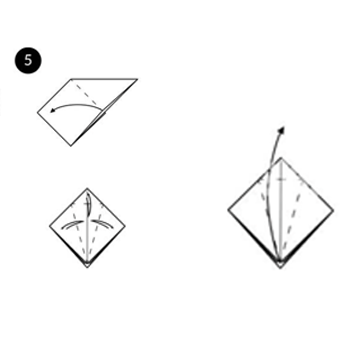 Step 5 image